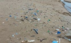 Karadeniz kıyılarının deniz çöpü haritası çıkarıldı