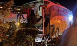 Kayseri'de yolcu otobüsü refüjdeki ağaçlara çarptı