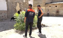 Kilis'te 2 yaşındaki kız çocuğu kayboldu