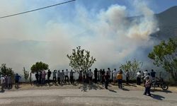Küre Dağları Milli Parkı'ndaki yangın kontrol altına alındı