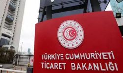 Malezya menşeli kontrplak firmasına soruşturma! Resmi Gazete'de yayımlandı