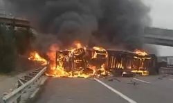 Mersin’de devrilen tır alevlere teslim oldu
