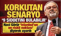 Naci Görür'den İstanbul uyarısı! En riskli noktayı açıkladı: 9 şiddetini bulabilir