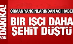 Orman yangınlarından acı haber: Bir işçi daha şehit oldu