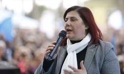 Özlem Çerçioğlu kimdir, nerelidir, hangi partide?