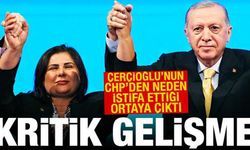 Özlem Çerçioğlu'nun CHP'den neden istifa ettiği ortaya çıktı