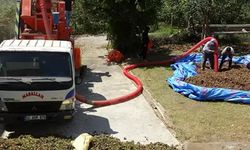 Saatlik ücreti 4 bin 500 TL! Fındıkta patoz mesaisi başladı