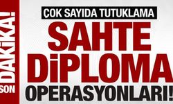 Sahte diploma ve ehliyet çetesine darbe: 197 gözaltı, 37 tutuklama
