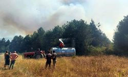 Sakarya'da orman yangını! Çok sayıda ekip sevk edildi