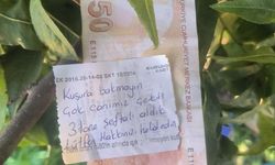 Şeftali ağacında duygulandıran not: 'İnsanlık ölmemiş' dedirtti!