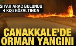 Sevindiren haber! Çanakkale'de orman yangınları kontrol altına alındı