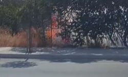 Silivri'de otluk alandaki yangın büyümeden söndürüldü