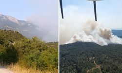 Sinop'ta orman yangını! Köy tahliye edildi
