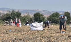 Tarlasındaki ürünleri ücretsiz dağıttı
