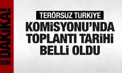 Terörsüz Türkiye Komisyonu'nda ilk toplantı tarihi belli oldu! İşte masadaki konular