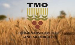 TMO'nun ithalat yoluyla tarım ürünleri almasına ilişkin usul ve esaslar belirlendi