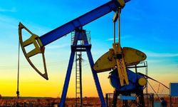 TPAO 21 petrol sahası için izin istedi! Resmi Gazete'de yayımlandı