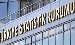 TÜİK, "Sosyoekonomik Seviye 2023" bültenini 18 Ağustos'ta yayımlayacak