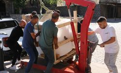 Türkiye'de benzeri görülmemiş olay! Eşi ölünce evindeki hazineyi ihbar etti! Taşıyamadılar