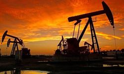 Türkiye'ye petrol, doğal gaz ve madencilik çağrısı! Trilyon dolarlık fırsat