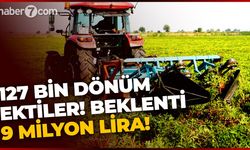 127 bin dönüme ektiler: 9 milyon lira gelir bekliyorlar