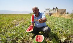 2 milyar liralık gelir bekleniyor! Muş'ta karpuz hasadı