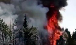 Ağaçlar alev topuna döndü, trafik durduruldu