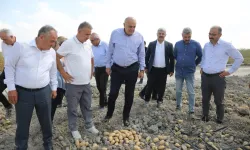 Konya Şeker’den yerli patates tohumu müjdesi... 2027’de dışa bağımlılık bitecek
