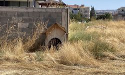 Burdur'da 3 sokak köpeğinin saldırısına uğrayan kadın yaralandı