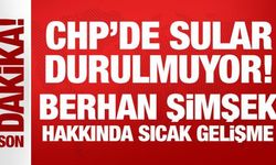 CHP'de sular durulmuyor! Berhan Şimşek’i disipline sevk ettiler