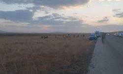 Erzurum'da feci kaza: 3 kişi hayatını kaybetti