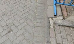 Gaziosmanpaşa’da pitbullun saldırdığı köpek öldü