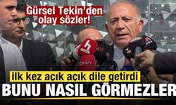 Gürsel Tekin'den olay sözler! İlk kez dile getirdi! CHP'liler Bunu nasıl görmez!