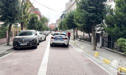 İstanbul'da kan donduran cinayet: Abisini canice öldürdü
