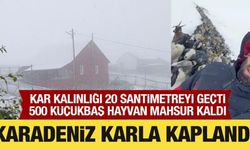 Karadeniz karla kaplandı: Hayvanlar mahsur kaldı