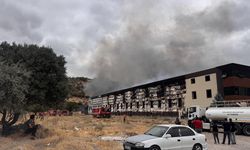 Kayseri'de mobilya fabrikasında yangın
