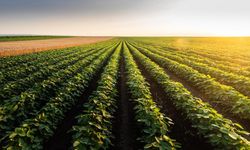 Letven Capital, agro ekonomide Türkiye’yi küresel yatırımın merkezine taşıyor