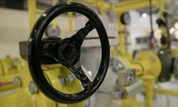 LPG ithalatı temmuzda yıllık bazda yüzde 3,4 arttı