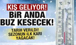 Meteorolojiden son dakika açıklaması! Kış geliyor! Bir anda buz kesecek! Sezonun ilk karı