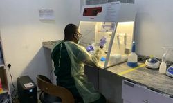 Nijerya’da salgın 162 can aldı!
