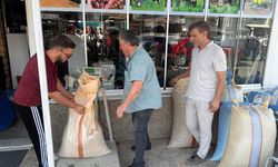 Rekolte düşünce fındık fiyatları pik yaptı