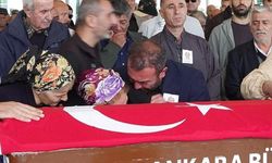 Servis şoförünü öldüren 14 kişilik ailenin korkunç planı! Fransa'dan gelmişler...