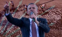 Sinop'taki balıklar için kıyameti koparan Özel, İzmir'deki balık ölümlerine sessiz kaldı