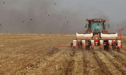 TÜİK açıkladı: Tarımsal girdi fiyat endeksinde artış!
