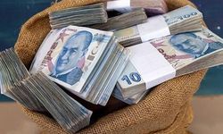 Acele edin: Sizin de 1000'lerce liranız olabilir! Alınmazsa iade ediliyor