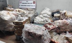 Ankara'da 3 iş yerinde 17 ton bozuk et ele geçirildi