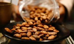 Bir fincan kakaonun şaşırtıcı faydası!