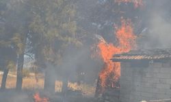 Bucak'ta odunlukta çıkan yangın korkuttu