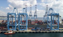 Deniz salyangozu ihracatı 9 ayda 10,7 milyon dolar kazandırdı