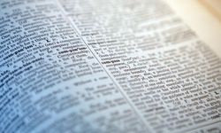 Dictionary.com, 2025'in kelimesini seçti: Kullanıcılar şaşkın